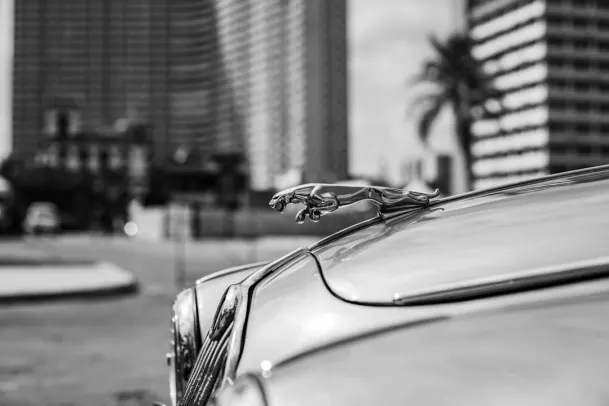 Kazino Loony Bingo Android/iOS programa